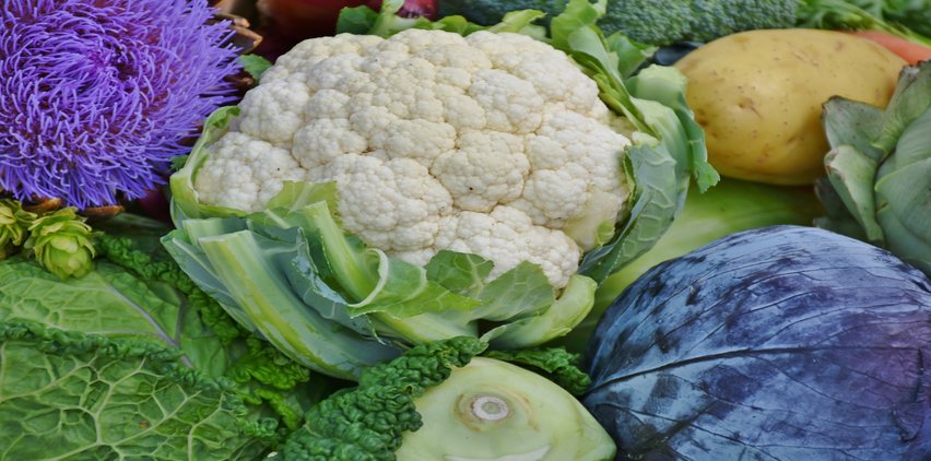 cauliflower fall food for weight loss