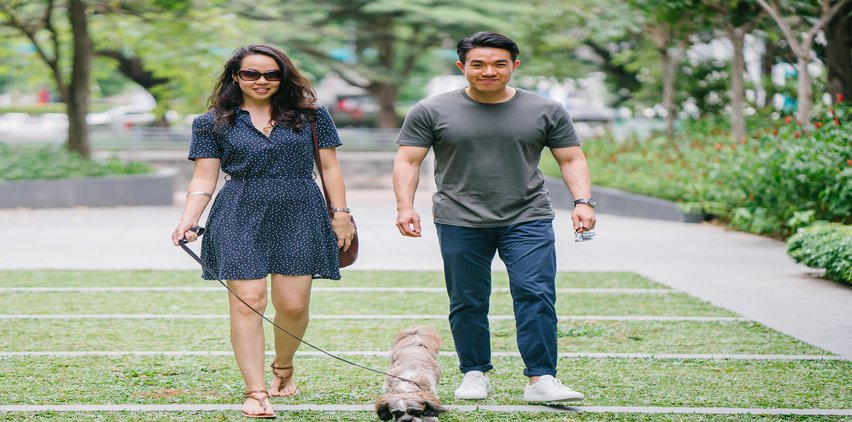asian couple walking dog happy relationship