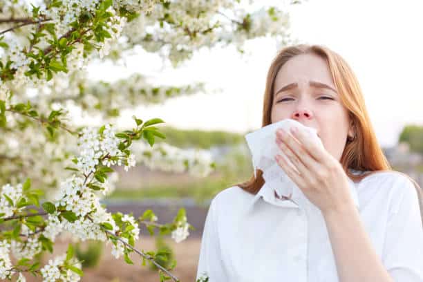 spring allergies