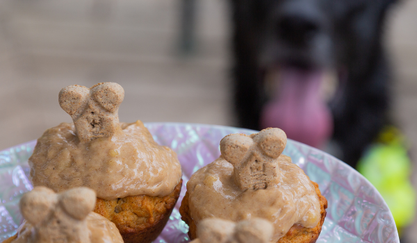 Pumpkin Flavored Dog Cupcakes