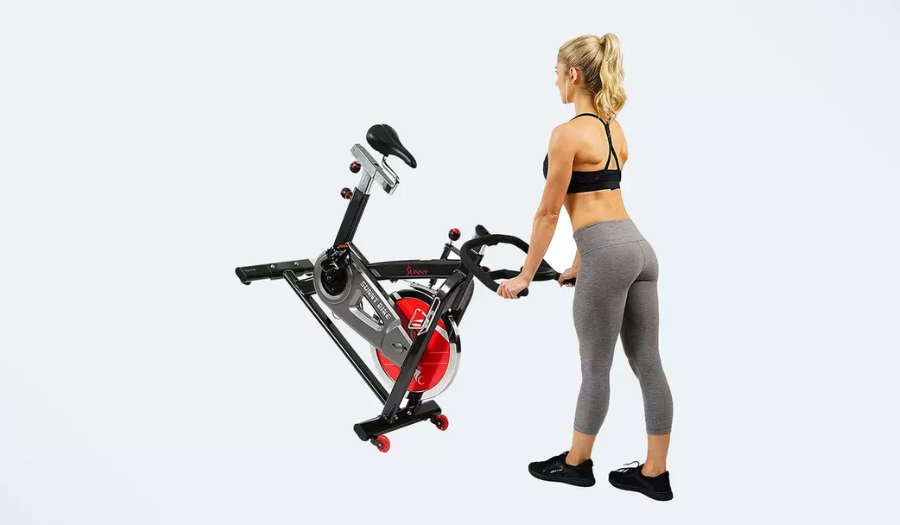 Sunny Health & Fitness Bike