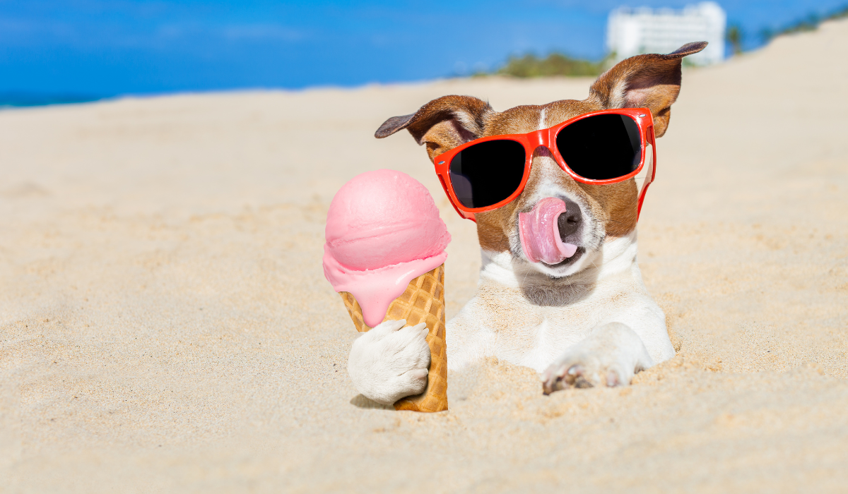 Ice Cream Bad For Dogs